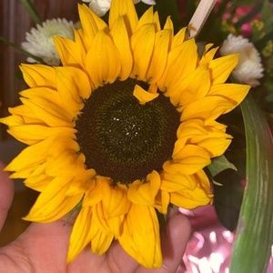 Meet your Posher, Sulma m